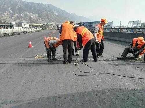 于洪道路桥梁病害治理